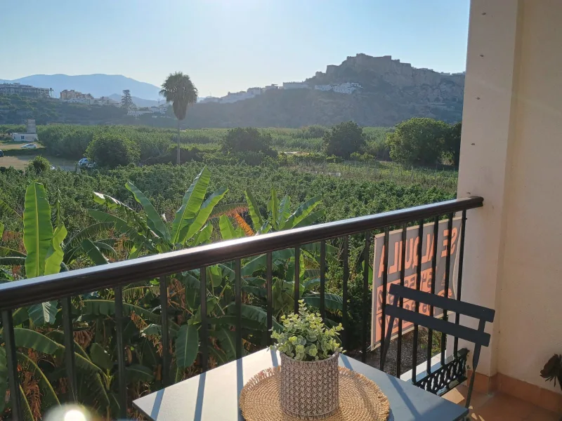 Vistas desde la terraza: cultivos tropicales y el castillo al fondo